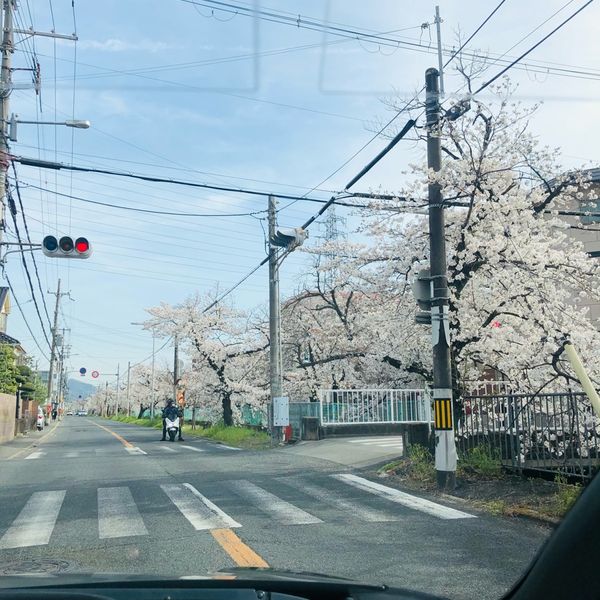 河内山本駅付近 - おすすめ画像