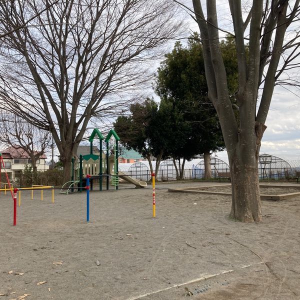 豊四季庚塚緑地 - トップ画像