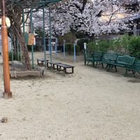 池園町公園 - 投稿画像1