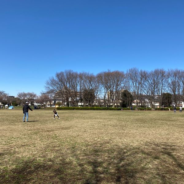 東村山中央公園 - トップ画像