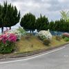 松陽台二丁目第1号街区公園 - トップ画像