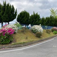 松陽台二丁目第1号街区公園 - 投稿画像0