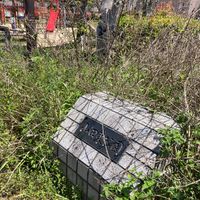 山田東公園 - 投稿画像2