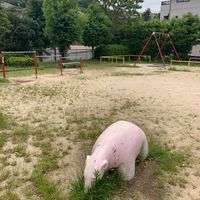 前山東公園 - 投稿画像1