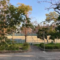 中の島公園 - 投稿画像1