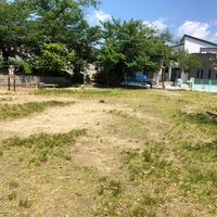 秡所公園 - 投稿画像2