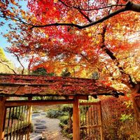 成田山公園 - 投稿画像2
