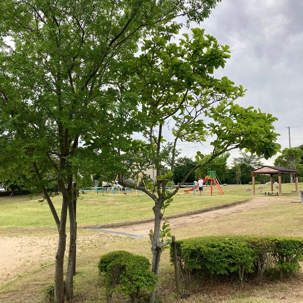 学園西町西公園 - トップ画像
