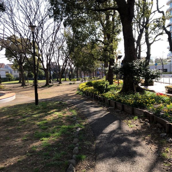 都立青山公園　こども広場 - トップ画像