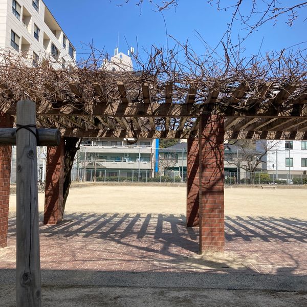 光町公園 - トップ画像