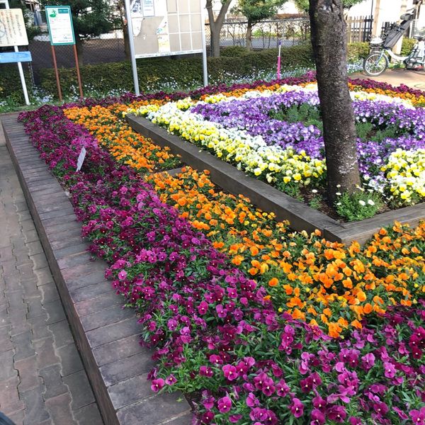 瀬田農業公園 フラワーランド - おすすめ画像