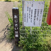 あじさい公園 - 投稿画像1