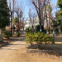 中央公園 - 投稿画像3
