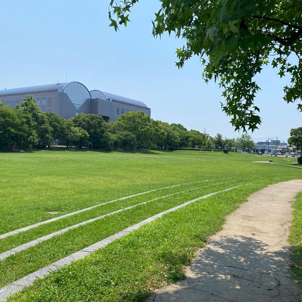 どんどんどんの森ふれあい広場 - トップ画像