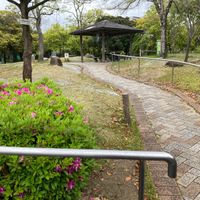 片山北ふれあい公園 - 投稿画像0