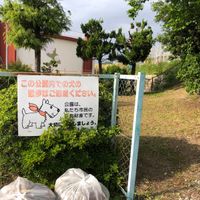 深谷第1幼児公園 - 投稿画像1