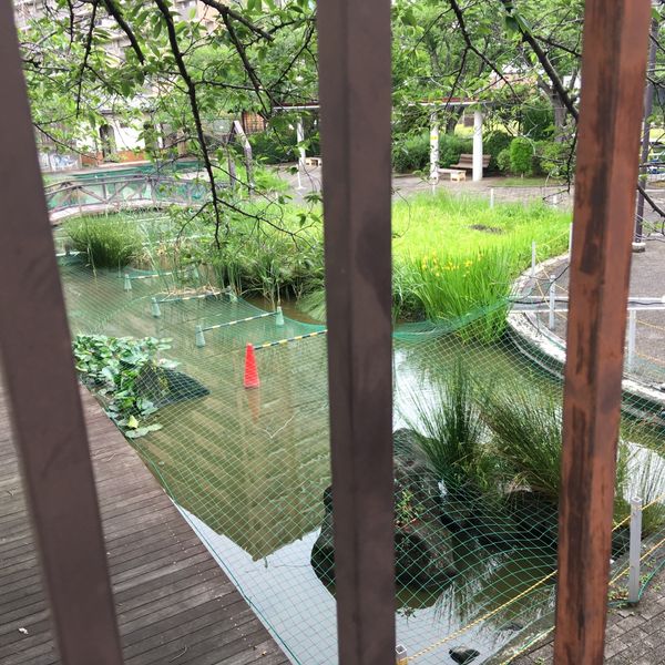 浮間つり堀公園 - トップ画像