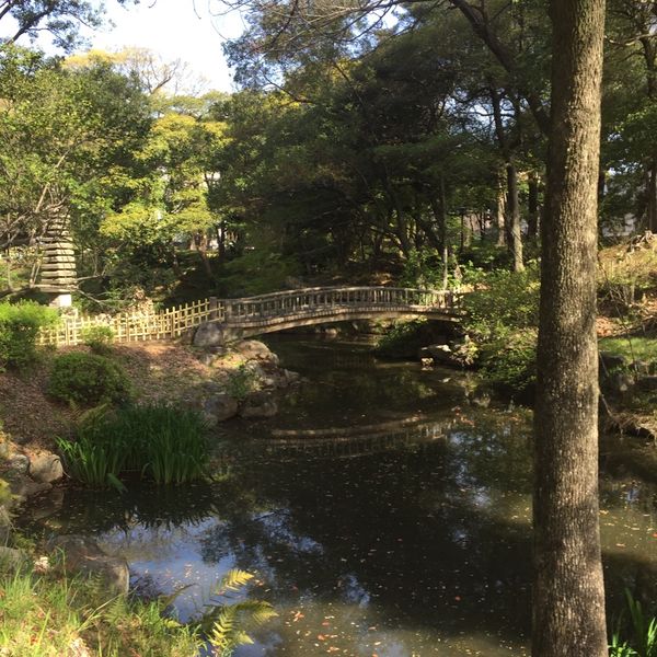 下茶屋公園 - トップ画像