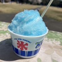 【SHOP STOP】【群馬】群馬県立公園  群馬の森 - 投稿画像3