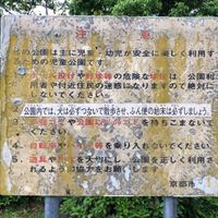 養生（希望の広場） - 投稿画像3