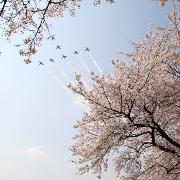 滝山公園 - おすすめ画像