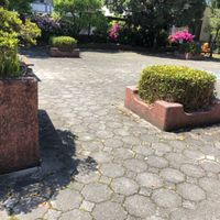 野辺公園 - 投稿画像1
