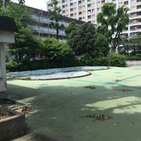 しらさぎ公園 - 投稿画像1