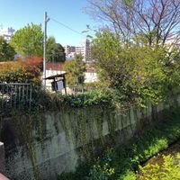 石が坪 - 投稿画像0