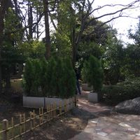 世田谷公園　指定喫煙場所 - 投稿画像2