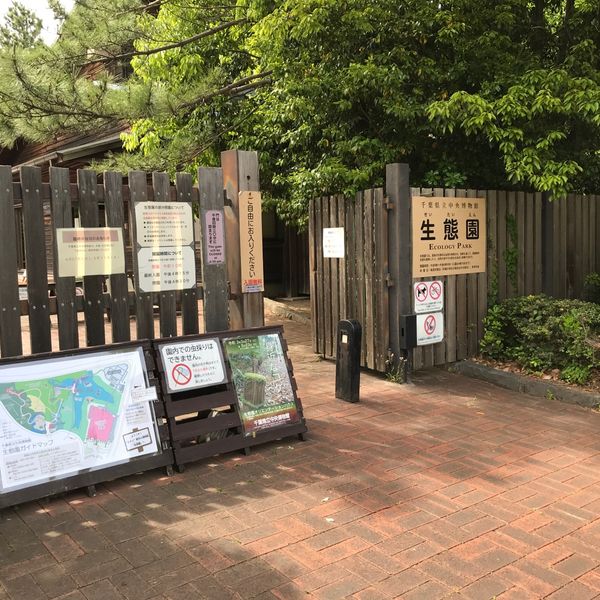 青葉の森公園 生態園 - トップ画像