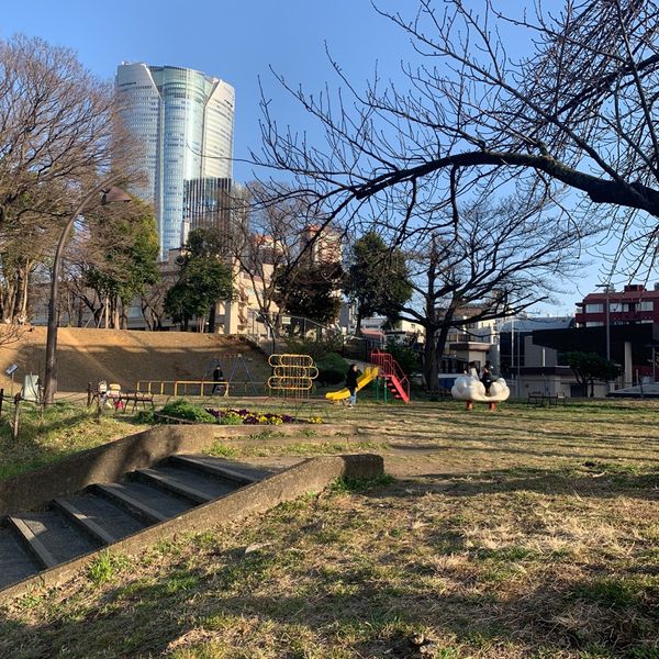 都立青山公園　遊具広場 - トップ画像