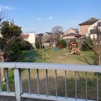 萩の寺公園 - 投稿画像2