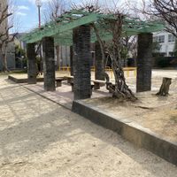 西野(みょうが池) - 投稿画像1
