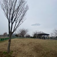 東伏見公園 - 投稿画像0