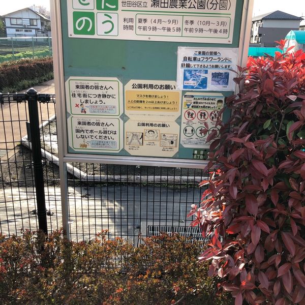 瀬田農業公園(分園) - トップ画像