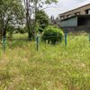 横井第5号街区公園 - トップ画像