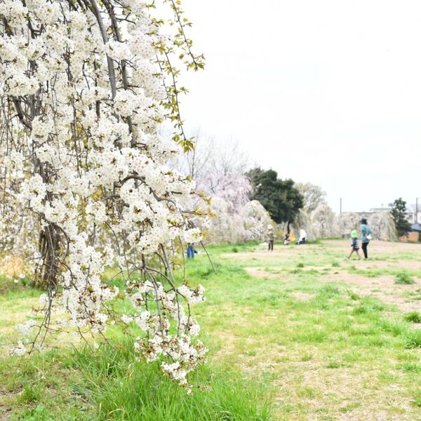 Akabane Sport no Mori Koen - おすすめ画像