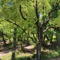 津雲公園 - 投稿画像1