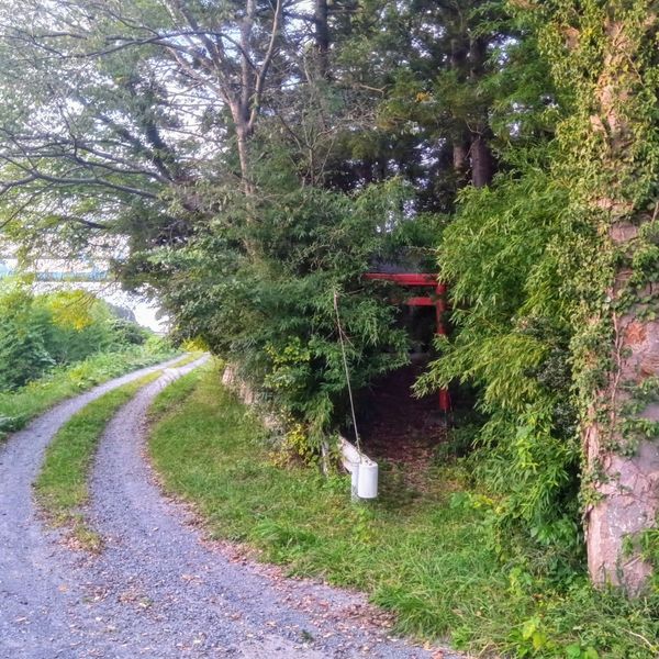 八幡神社 - おすすめ画像