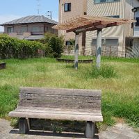 神殿町第6号街区公園 - 投稿画像3