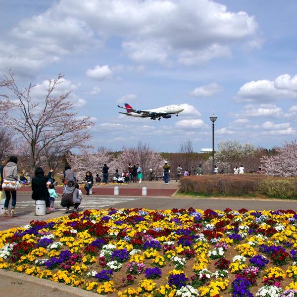 成田市さくらの山公園 - おすすめ画像