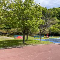 入江運動公園 - 投稿画像3