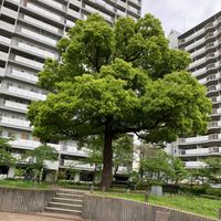 淀川河川公園 守口サービスセンター - 投稿画像3