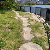 山田上王子池公園 - 投稿画像1
