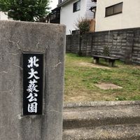 北大薮 - 投稿画像0