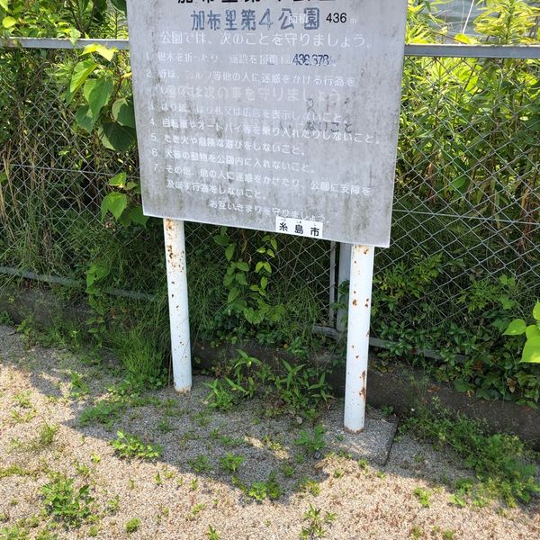 加布里第4 - トップ画像