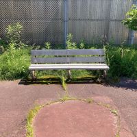 今市緑地 - 投稿画像0