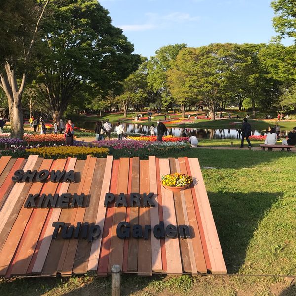 昭和記念公園 - トップ画像