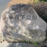 亀井下公園 - 投稿画像0