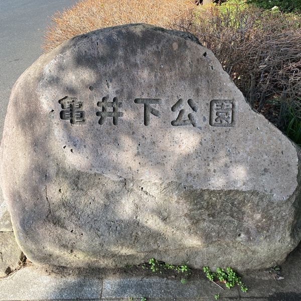 亀井下公園 - トップ画像